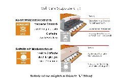 Multiplan von Dietsch - Sessel terra