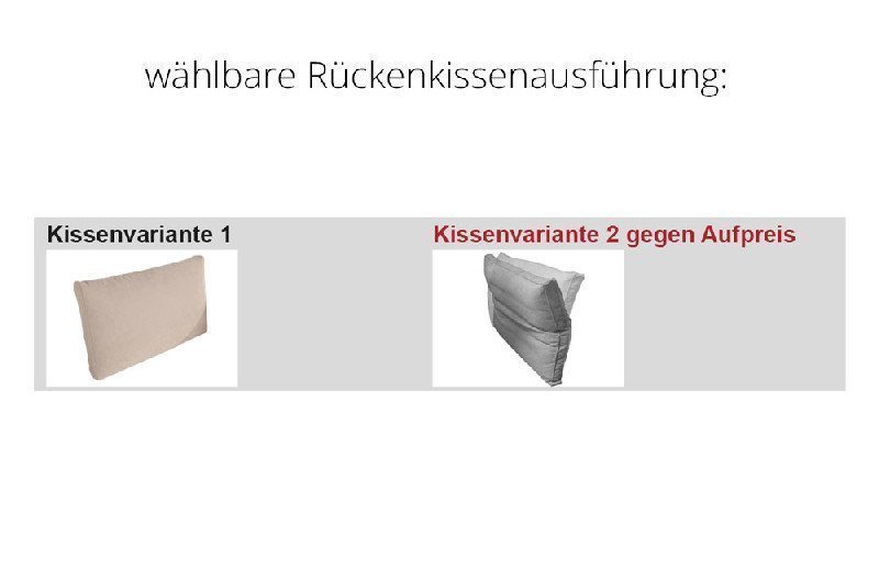 Rückenausführung