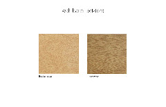 MR 365 von Musterring - Polsterecke Variante rechts green