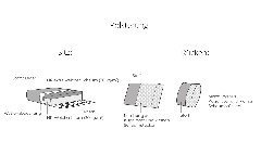 Helena-LE24 von Vilmers - Sofa grey