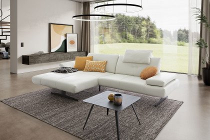 16790 Chester von Willi Schillig