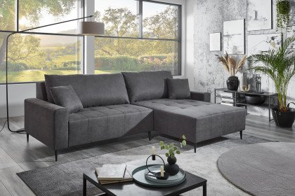 Chico von AZ Iwaniccy