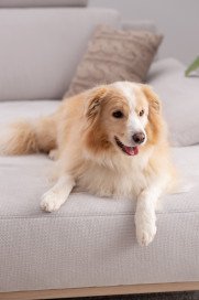 Tivoli-LE25 von ADA Mindful Living - Eckgarnitur rechts grey-white