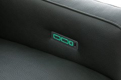 36130 Louis von Willi Schillig - Ledergarnitur forest