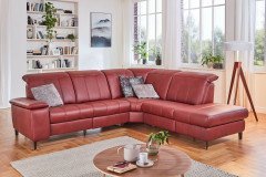 Lester von Polsteria