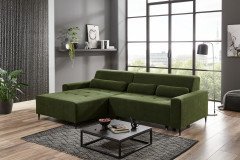 Linz von AZ Iwaniccy