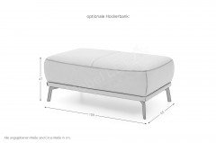 MR 310 von Musterring - Polster-Duo rusty